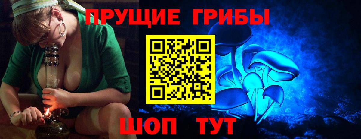 Ярославль  Псилоцибиновые грибы мицелий  Вход с VPN 